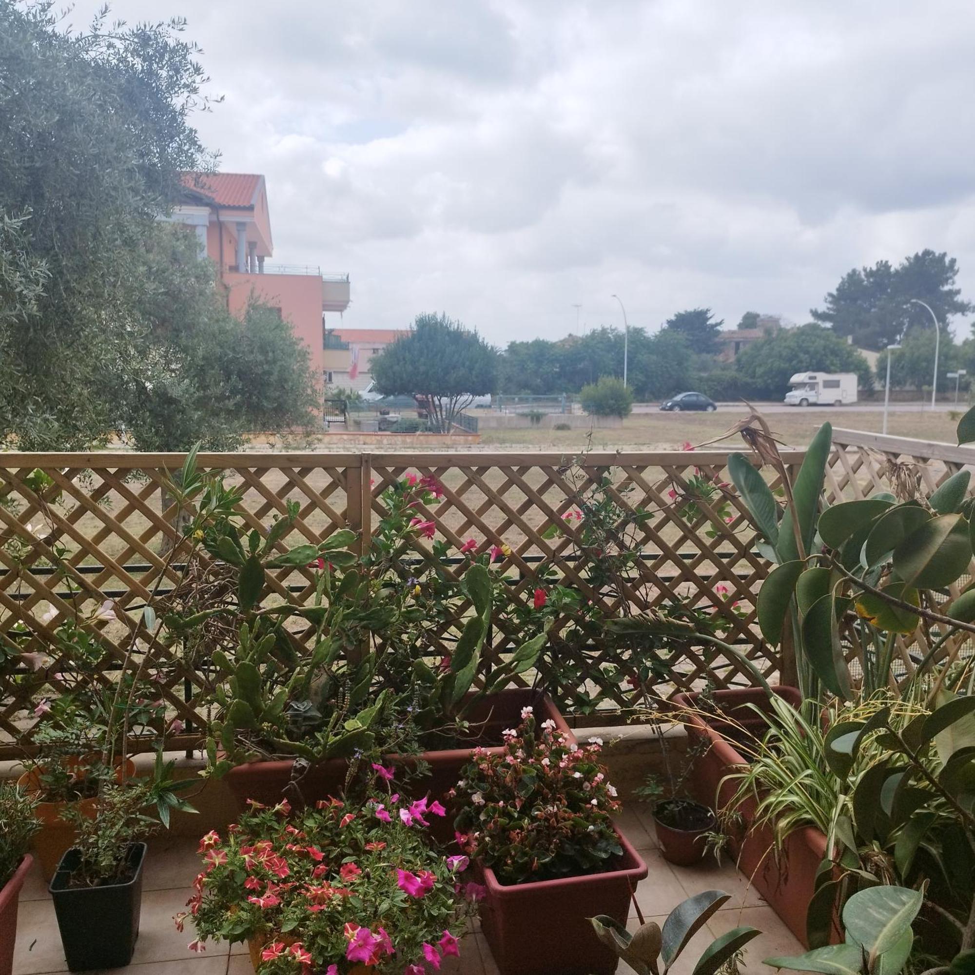 דירות Alghero Lovely Flat מראה חיצוני תמונה