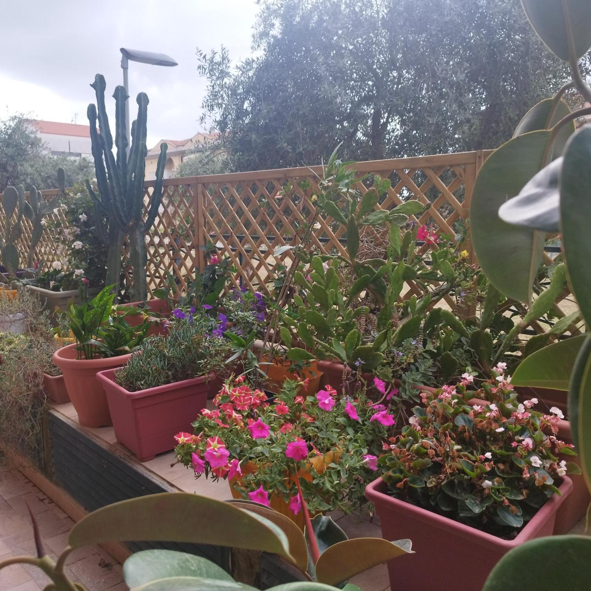דירות Alghero Lovely Flat מראה חיצוני תמונה