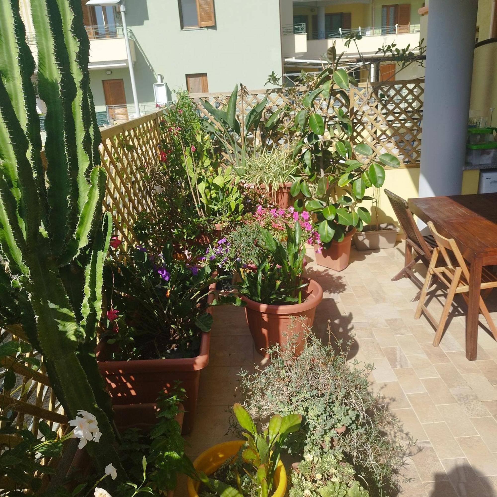 דירות Alghero Lovely Flat מראה חיצוני תמונה